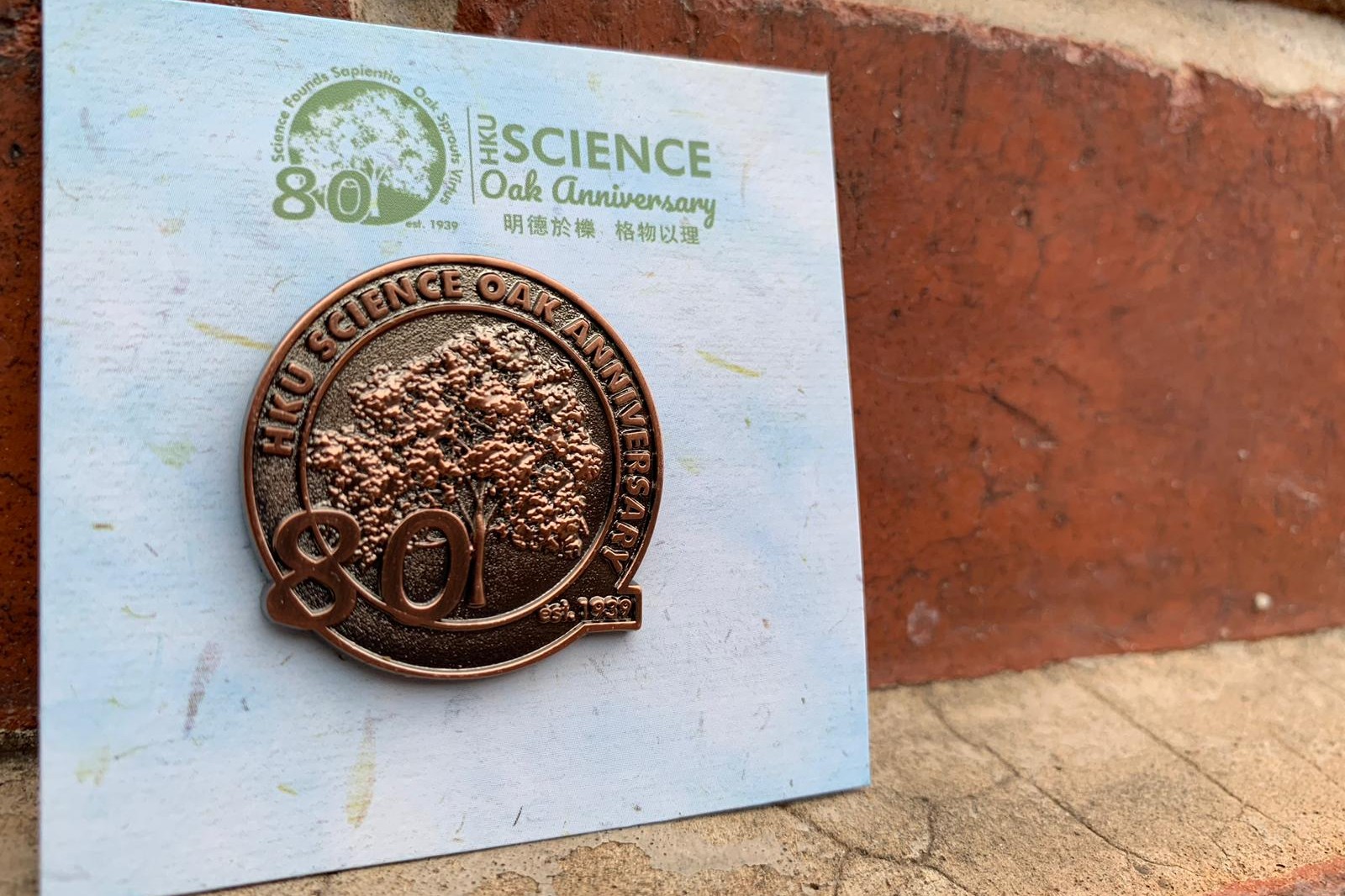 Copper Pin